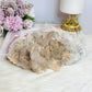 Large Natural Quartz Specimen 18cm 822g