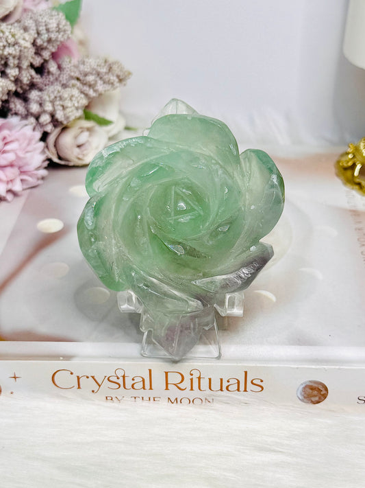 Watermelon Fluorite Carved Flower | Rose On Stand 10cm 250g