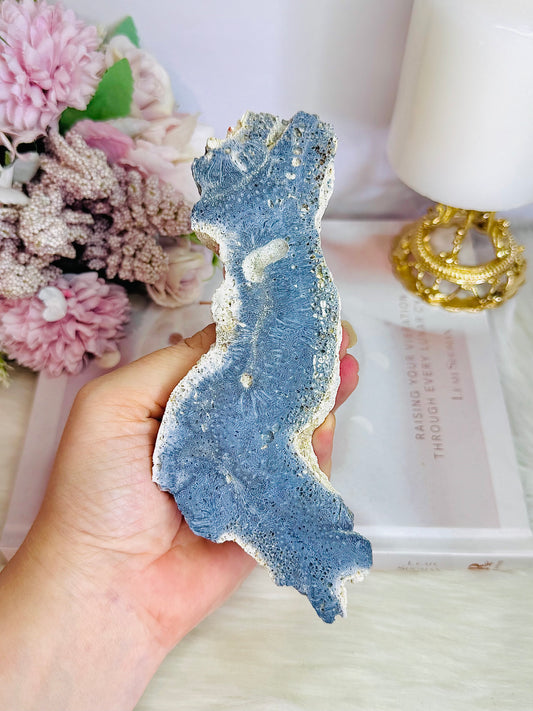 Natural Blue Fossilised Coral Vintage Skeleton  Specimen 15.5cm