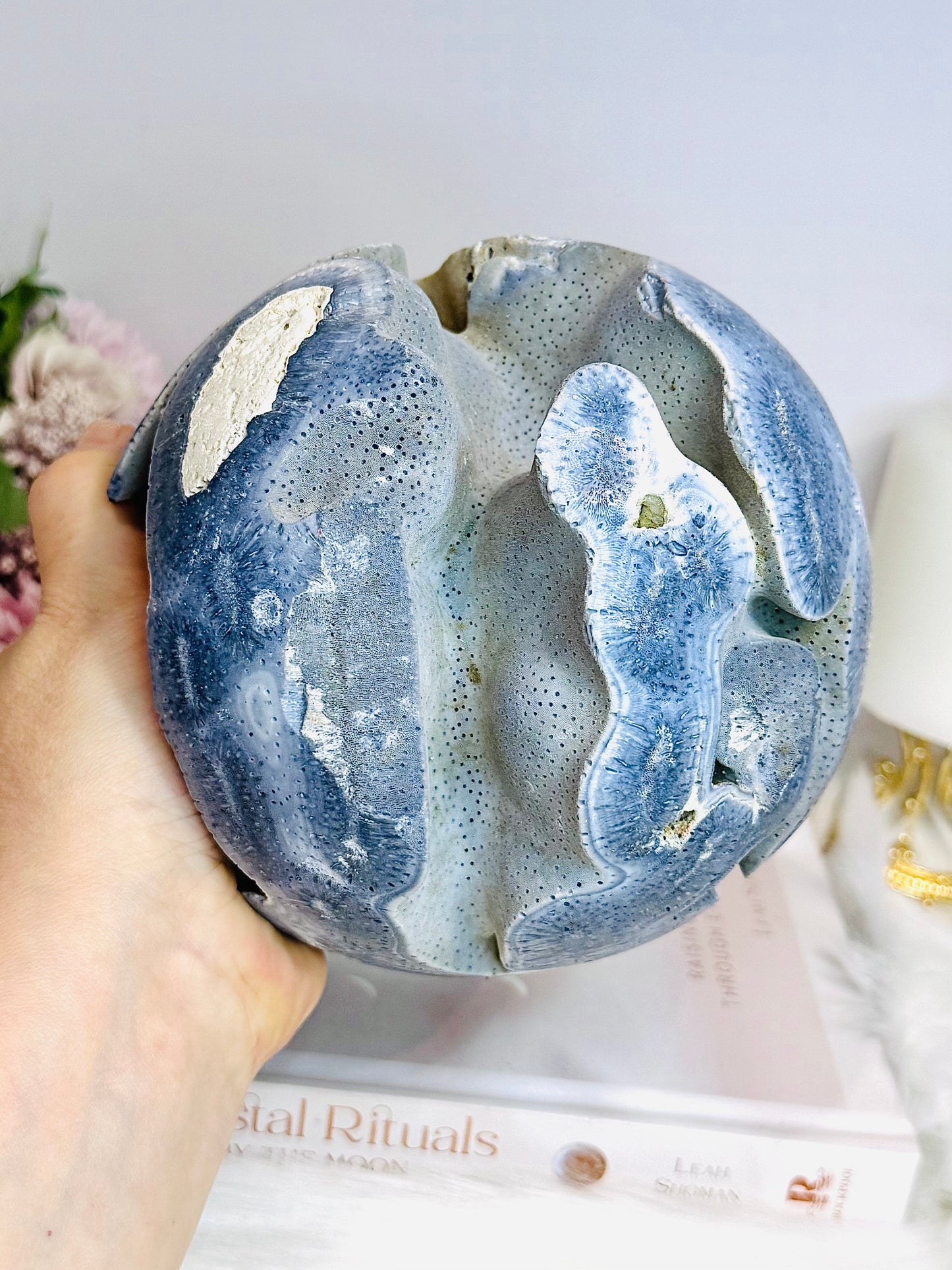 Huge Rare Natural Blue Coral Fossil Sphere 2.16KG