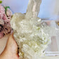 Wow! Incredible Stunning Huge 1.6KG Natural Clear Quartz Specimen with Beautiful Cluster Points