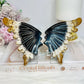 High Grade Ocean Jasper Wings On Stands 15cm