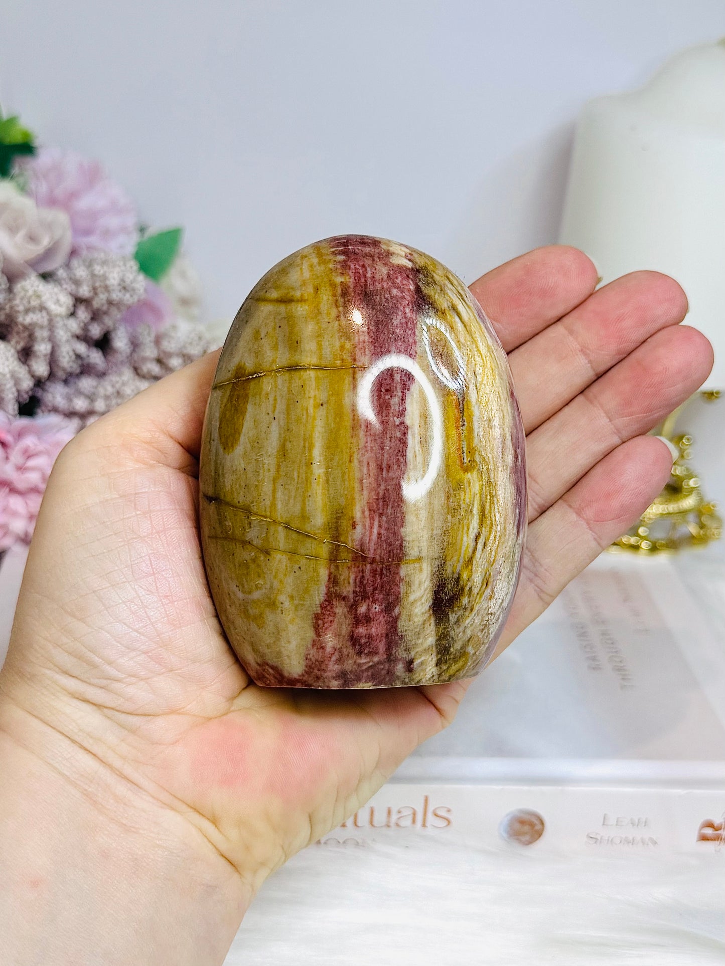 Petrified Wood Freeform 8.5cm 363g