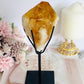 Incredible Large Citrine Freeform Full Of Rainbows On Custom Stand (Heat Treated)