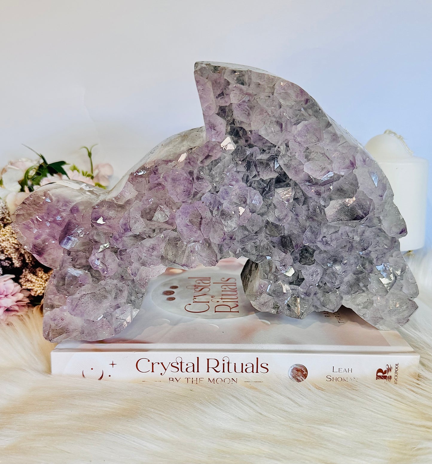 MASTER PIECE!!!! Huge 30cm 3.92KG Amethyst Cluster Carved Dolphin On Stand From Brazil