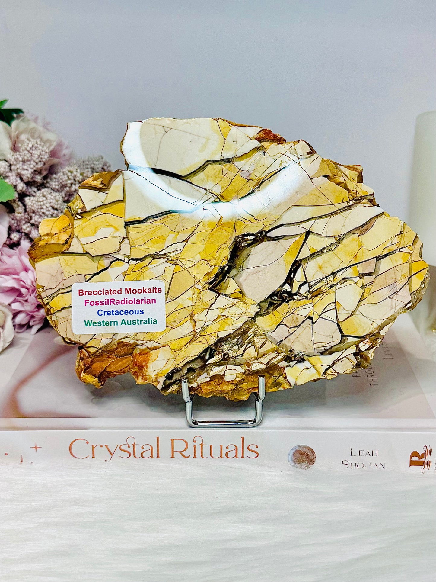 Large Natural Brecciated Mookaite Jasper Slab on Stand 16.5cm 459g