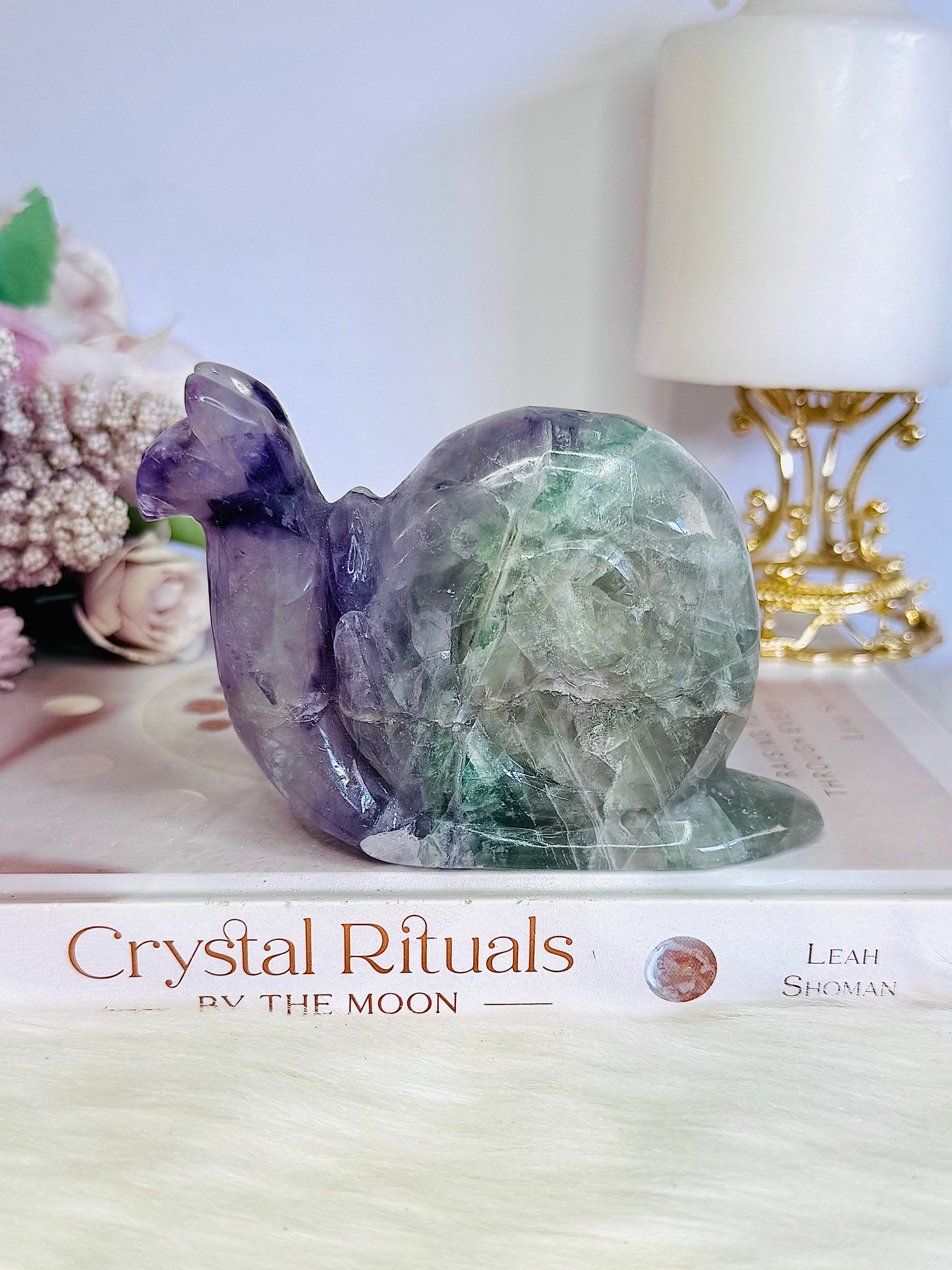 Fluorite Carved Large Snail 11cm 449grams
