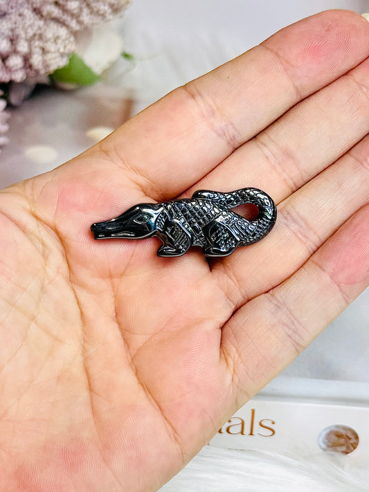 Terra-hertz Carved Crocodile