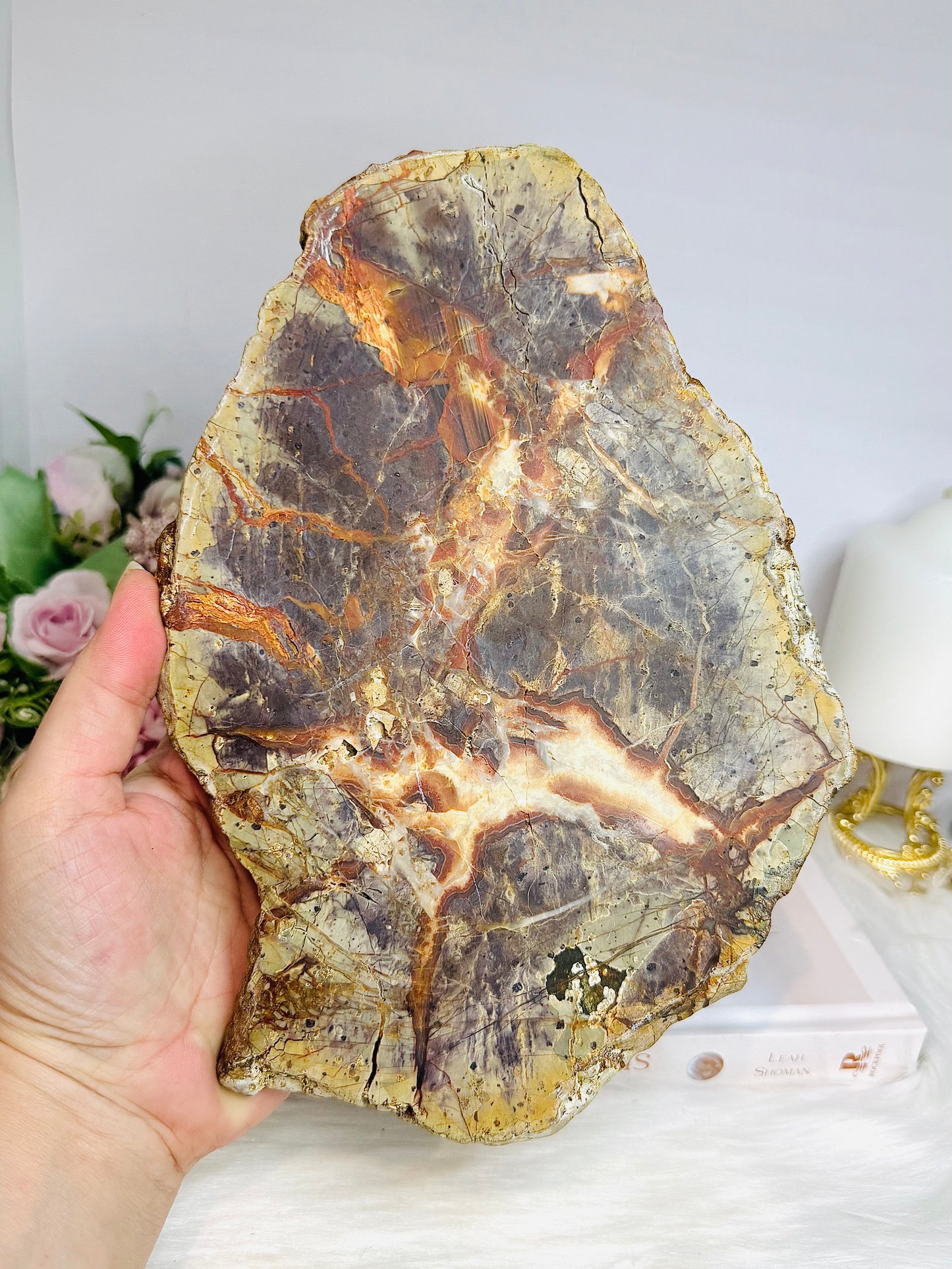 Large Agate Creek Thunder Egg Slab on Stand 25cm