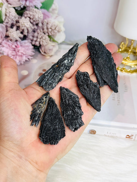 Natural Black Kyanite Specimens