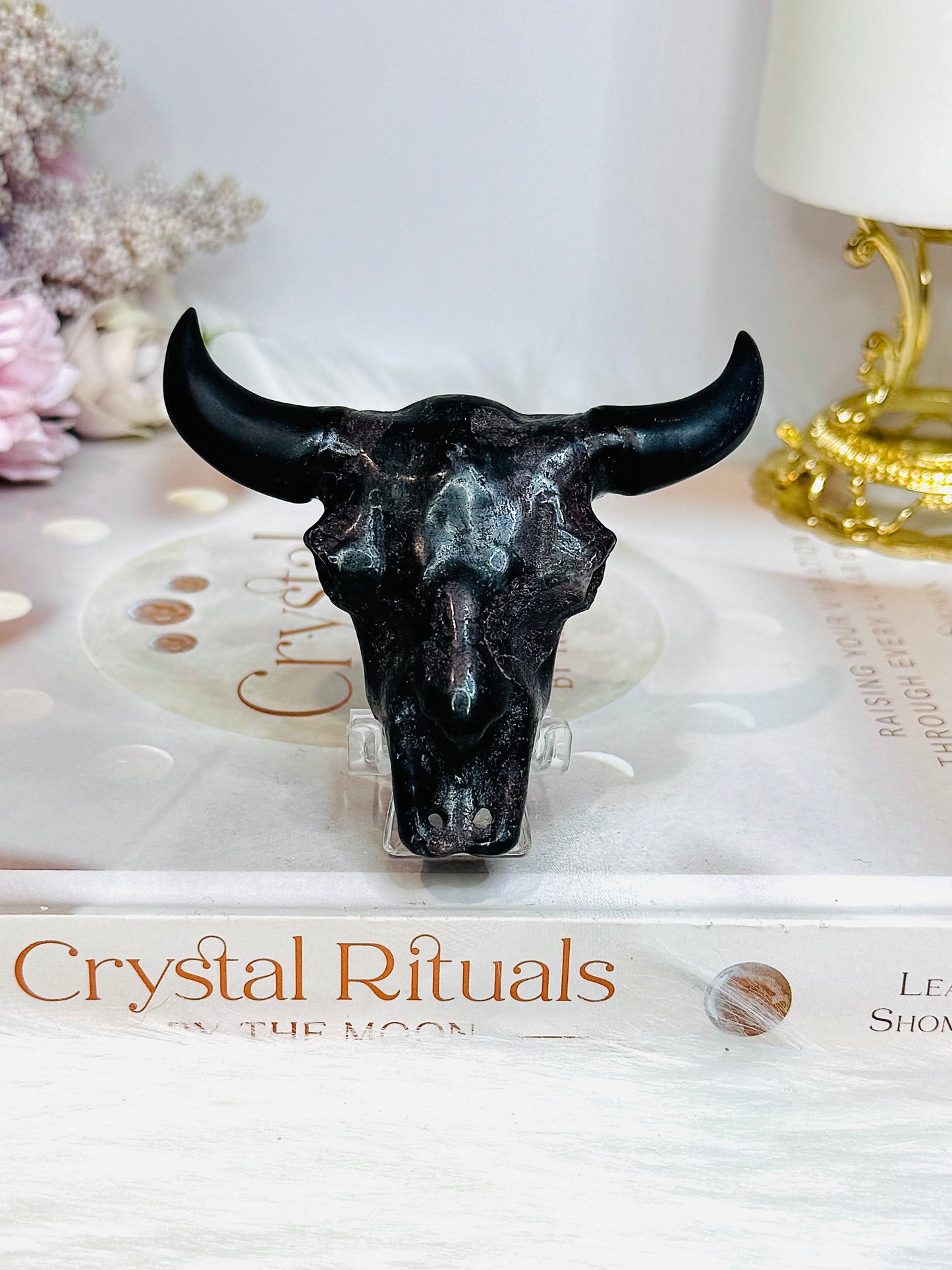 Garnet in Astrophyllite Bull on Stand 8cm