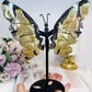 Large Volcano Agate Butterfly Wings UV Reactive on Stand 22cm
