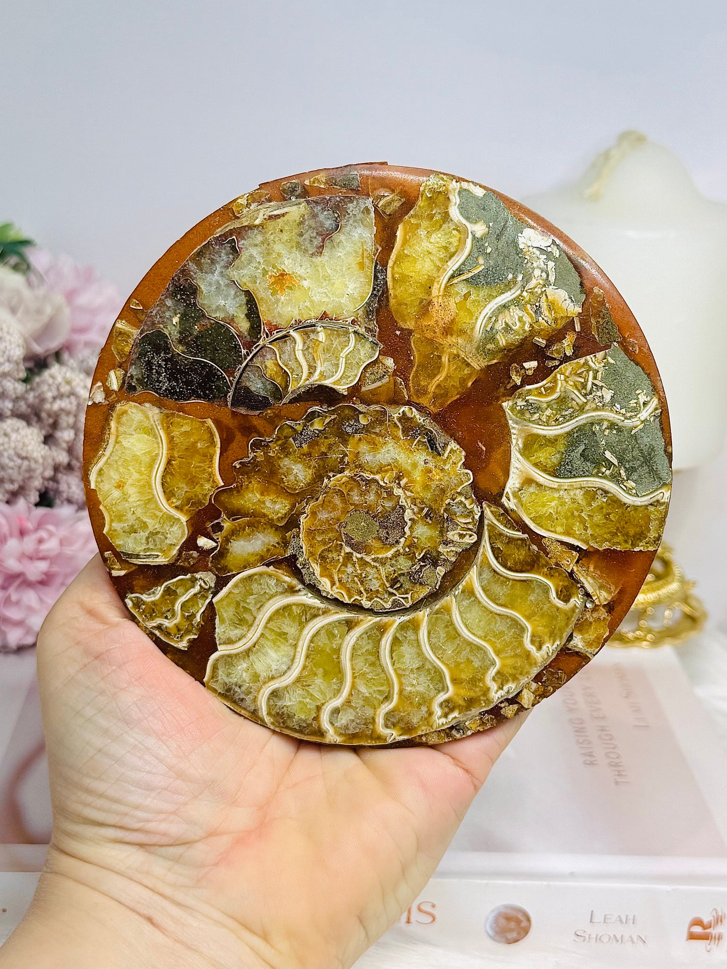 Natural Ammonite Fossil Shell Plate on Stand 12.5cm