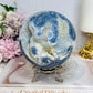Rare Natural Large Blue Coral Fossil Sphere 732g