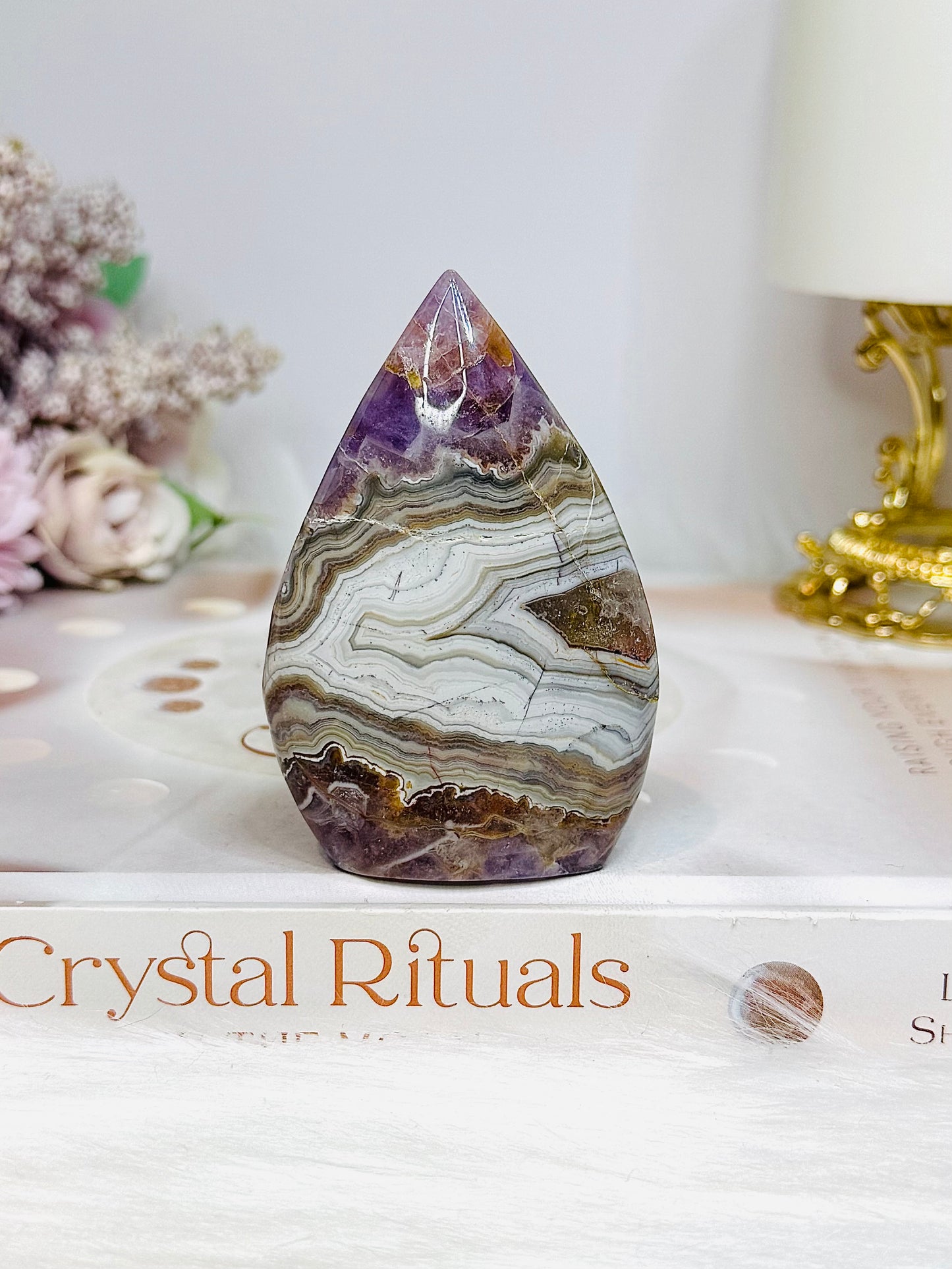 Crazy Lace Amethyst Flame 7.5cm