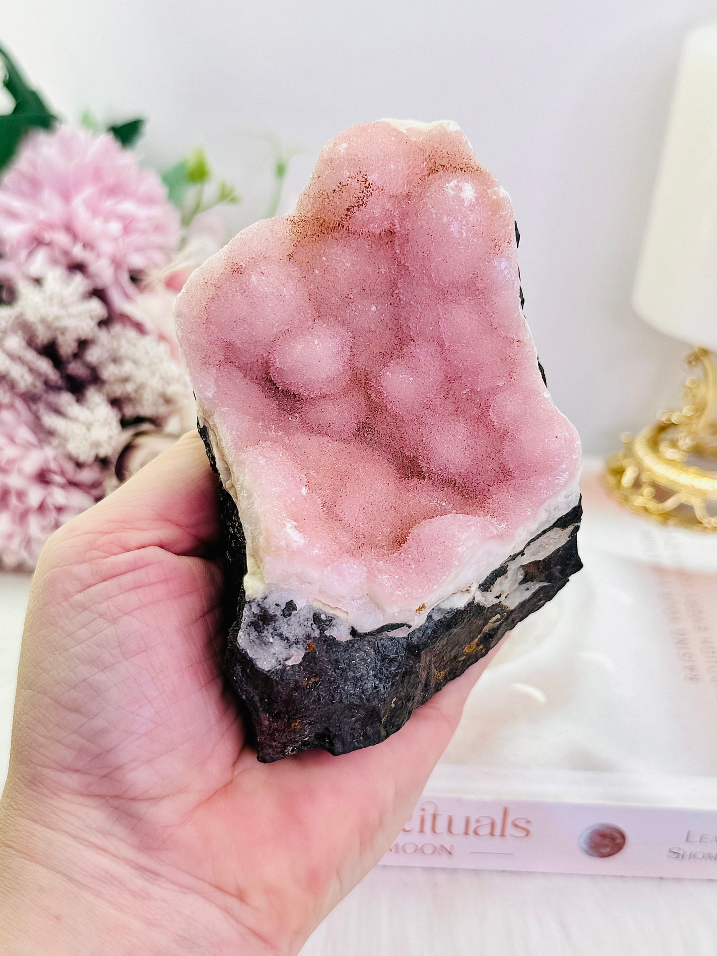 A Collectors Piece ~ Incredibly Large 502gram Pink Aragonite Natural Specimen