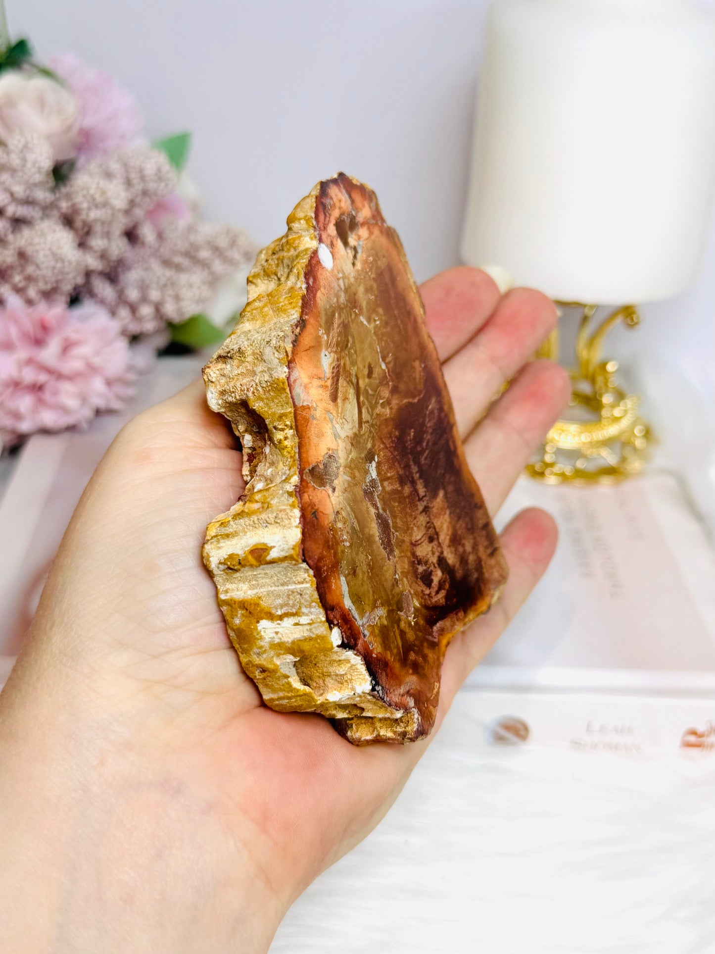 Natural Petrified Wood Slab 10cm 240g