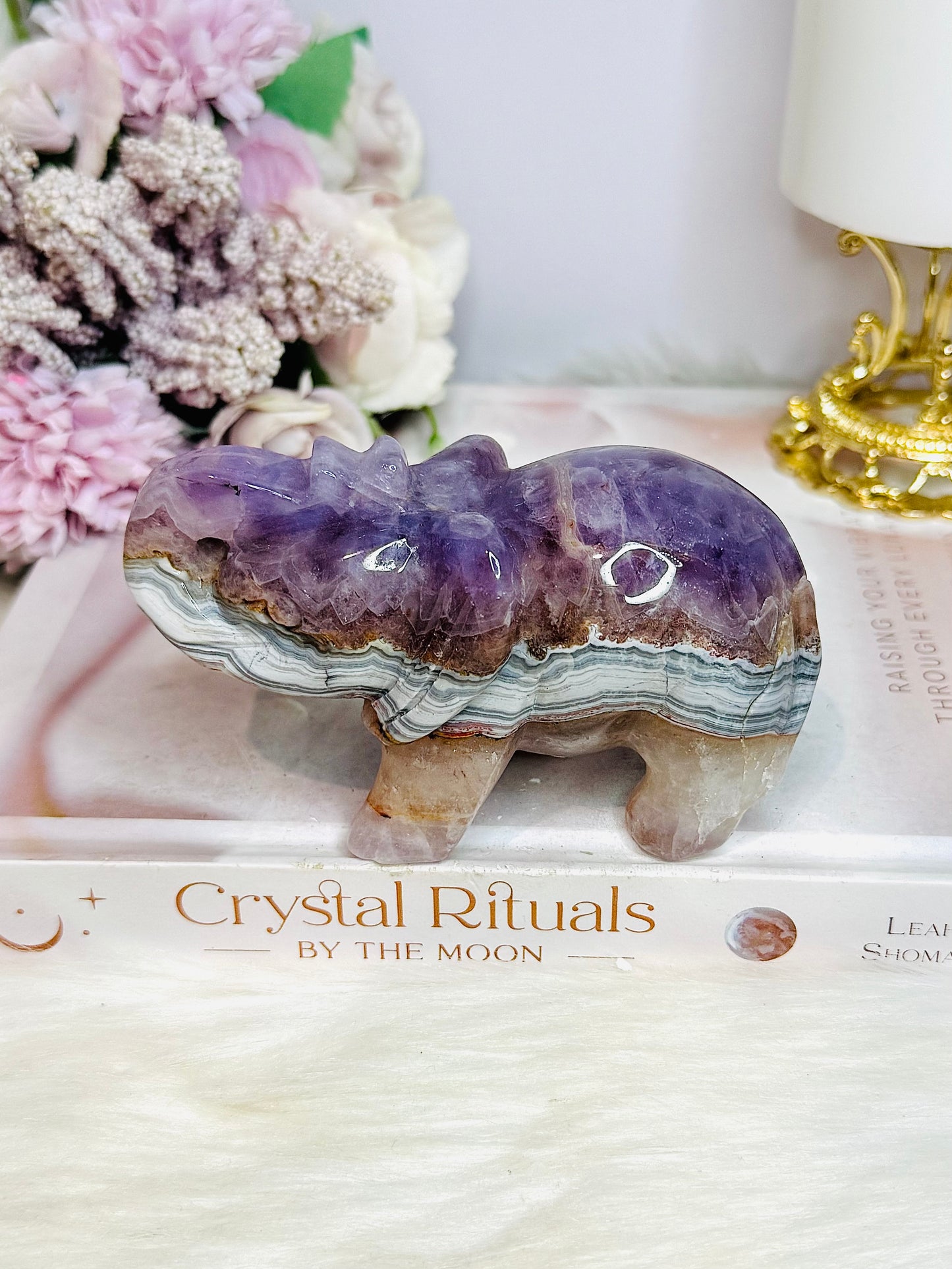Amethyst X Mexican Lace Agate Elephant 11cm 367g