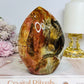 Large Petrified Wood Freeform 11.5cm 710g