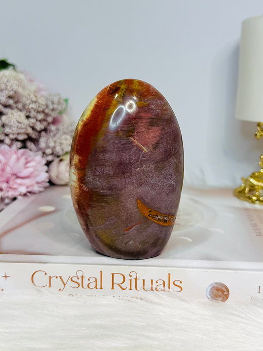Petrified Wood Chunky Freeform 9.5cm 311g