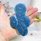 Blue Coral Fossil Specimen Slab on Stand 11.5cm