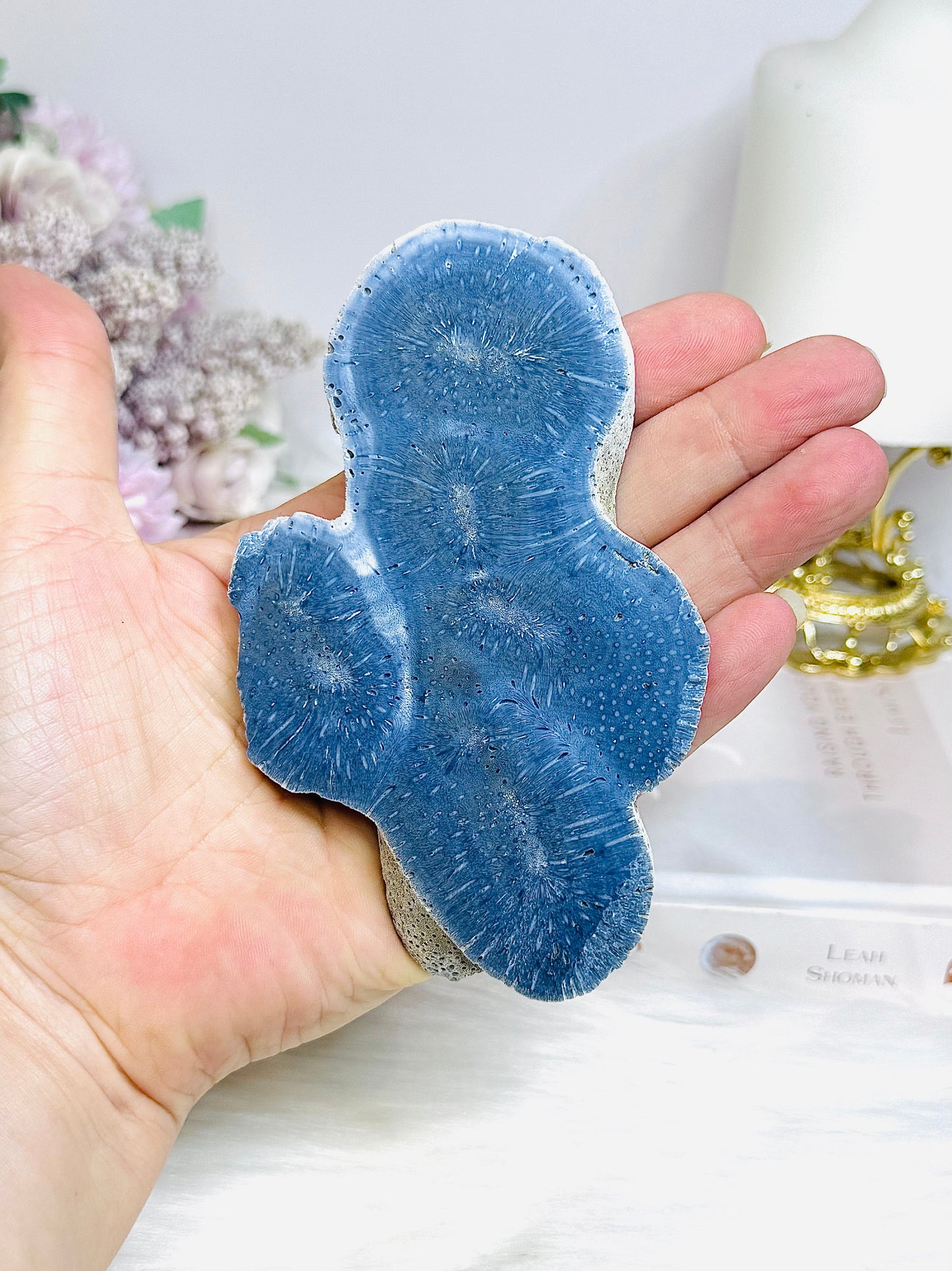 Blue Coral Fossil Specimen Slab on Stand 11.5cm