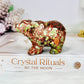 Money Agate Carved Bear 8cm