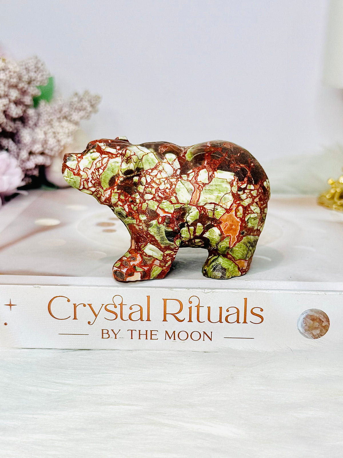 Money Agate Carved Bear 8cm