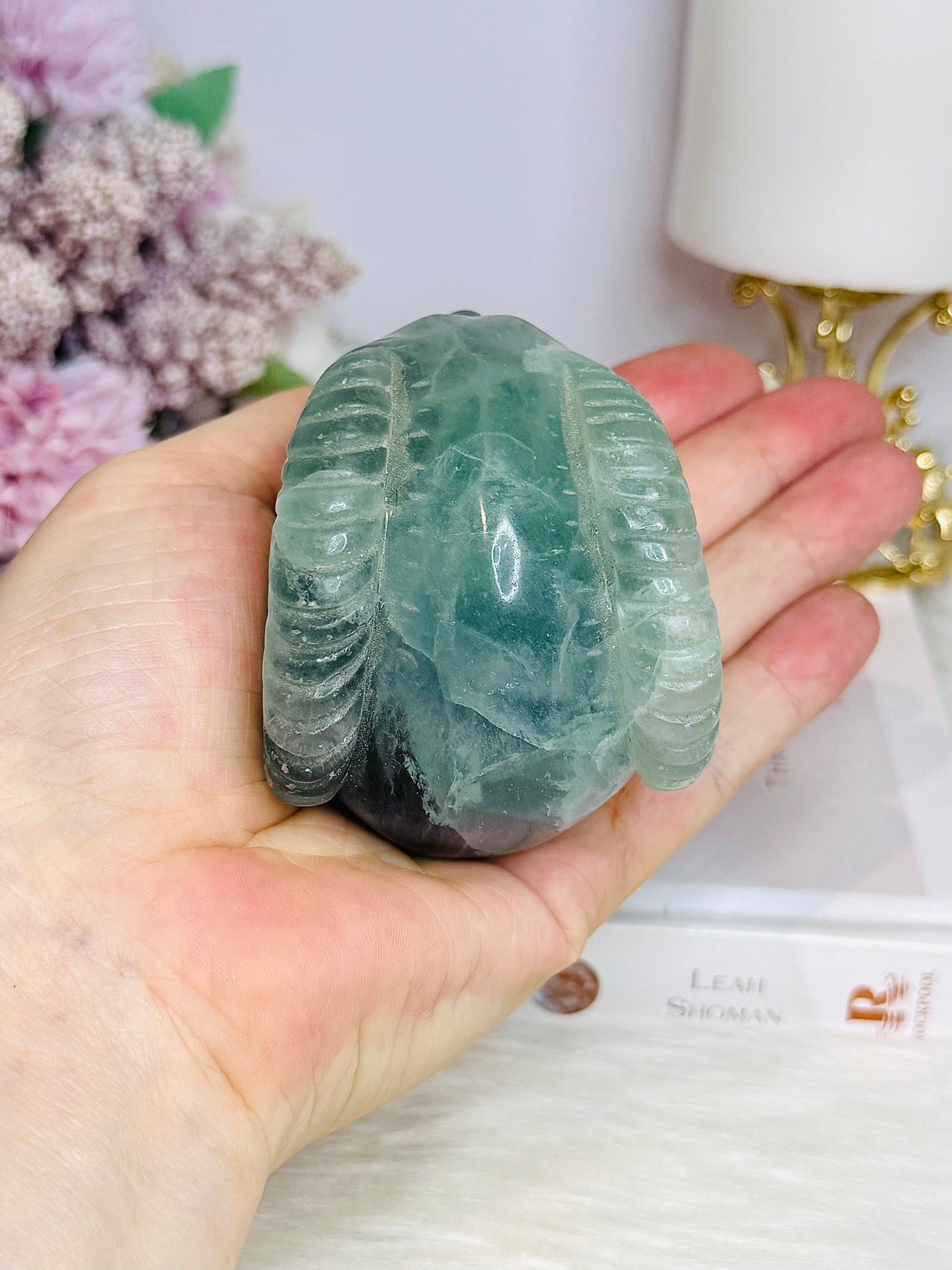 Fluorite Skull with Ram Horns 7.5cm 415g