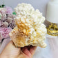 Natural Large White Aragonite | Cave Calcite Cluster Specimen 11cm 587g