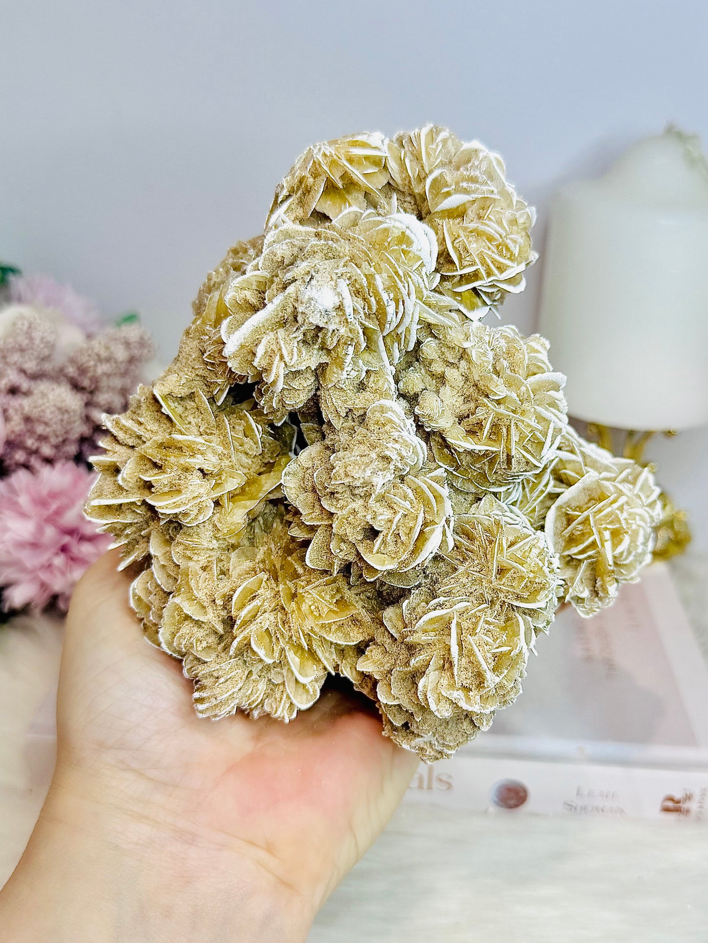 Natural Large Desert Rose Selenite Specimen 747g