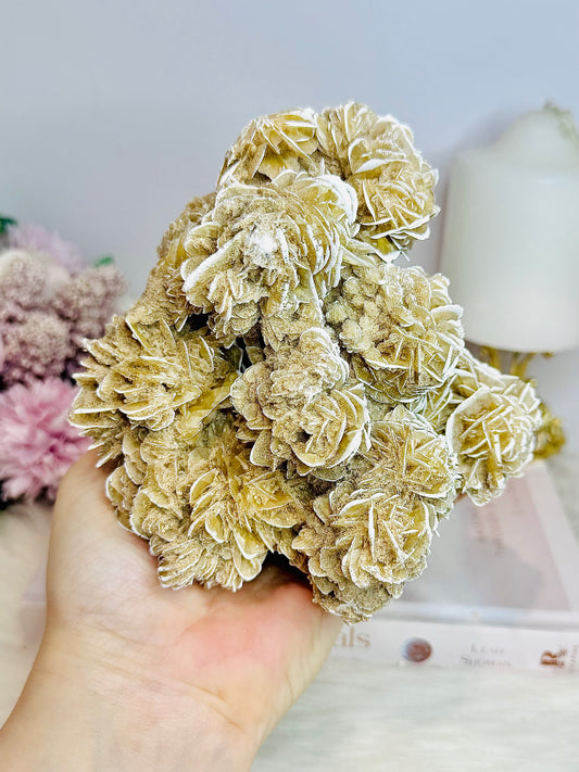Natural Large Desert Rose Selenite Specimen 747g