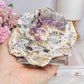 ✨ A Collectors Piece ✨ Natural Cubed Fluorite In Matrix On Glass Stand 703grams