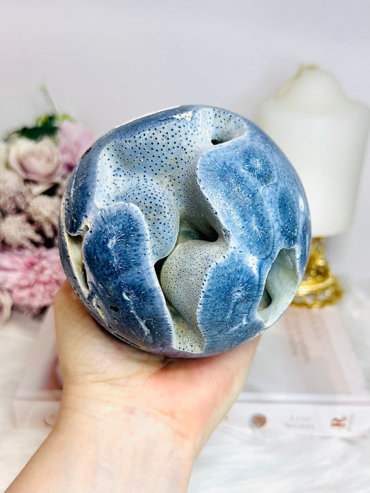 Natural Blue Coral Fossil 824g