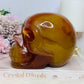Huge Carnelian Carved Druzy Skull 2.15KG