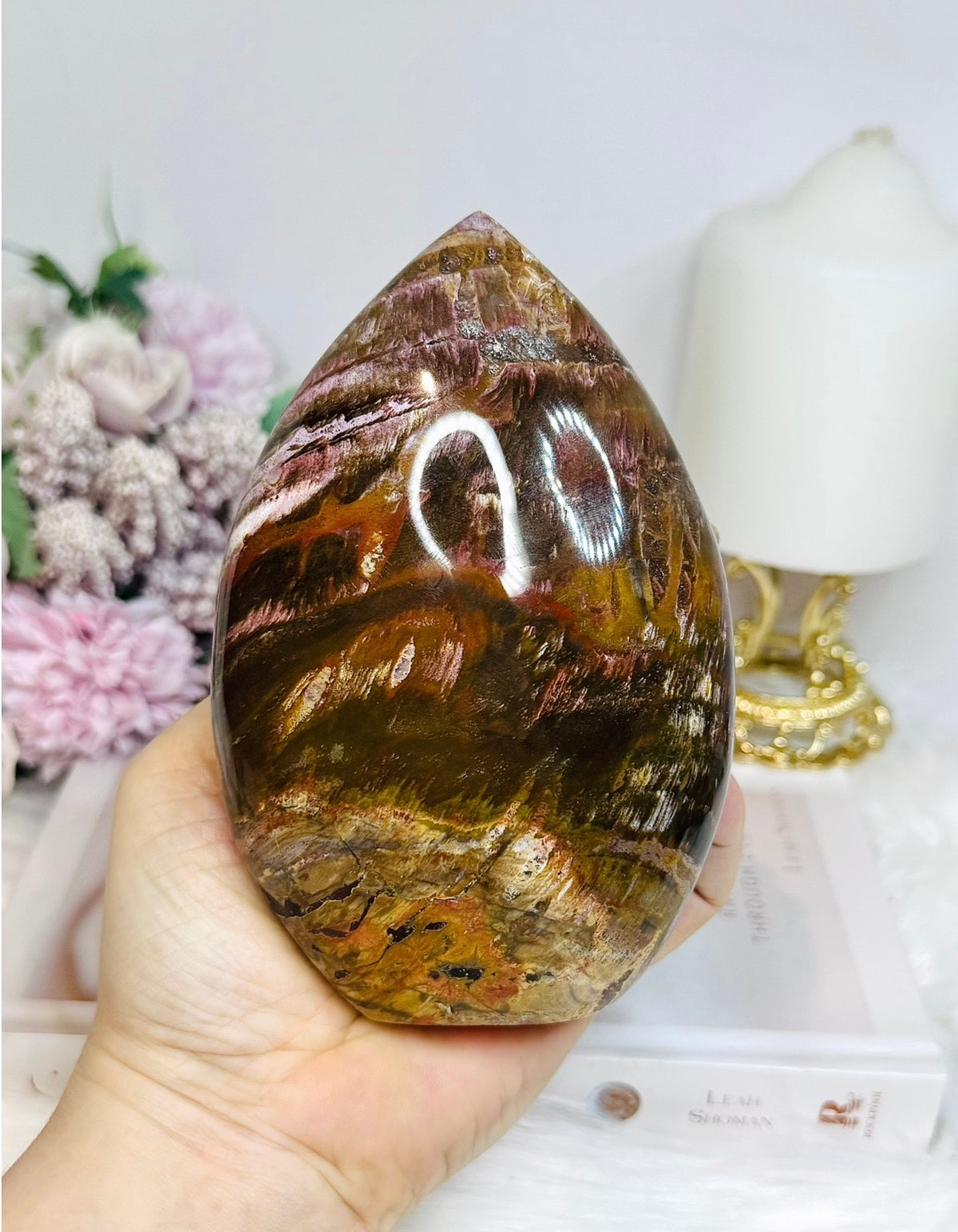 Large Petrified Wood Freeform 13cm 720g