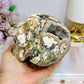 Large Money Agate Druzy Skull 751g