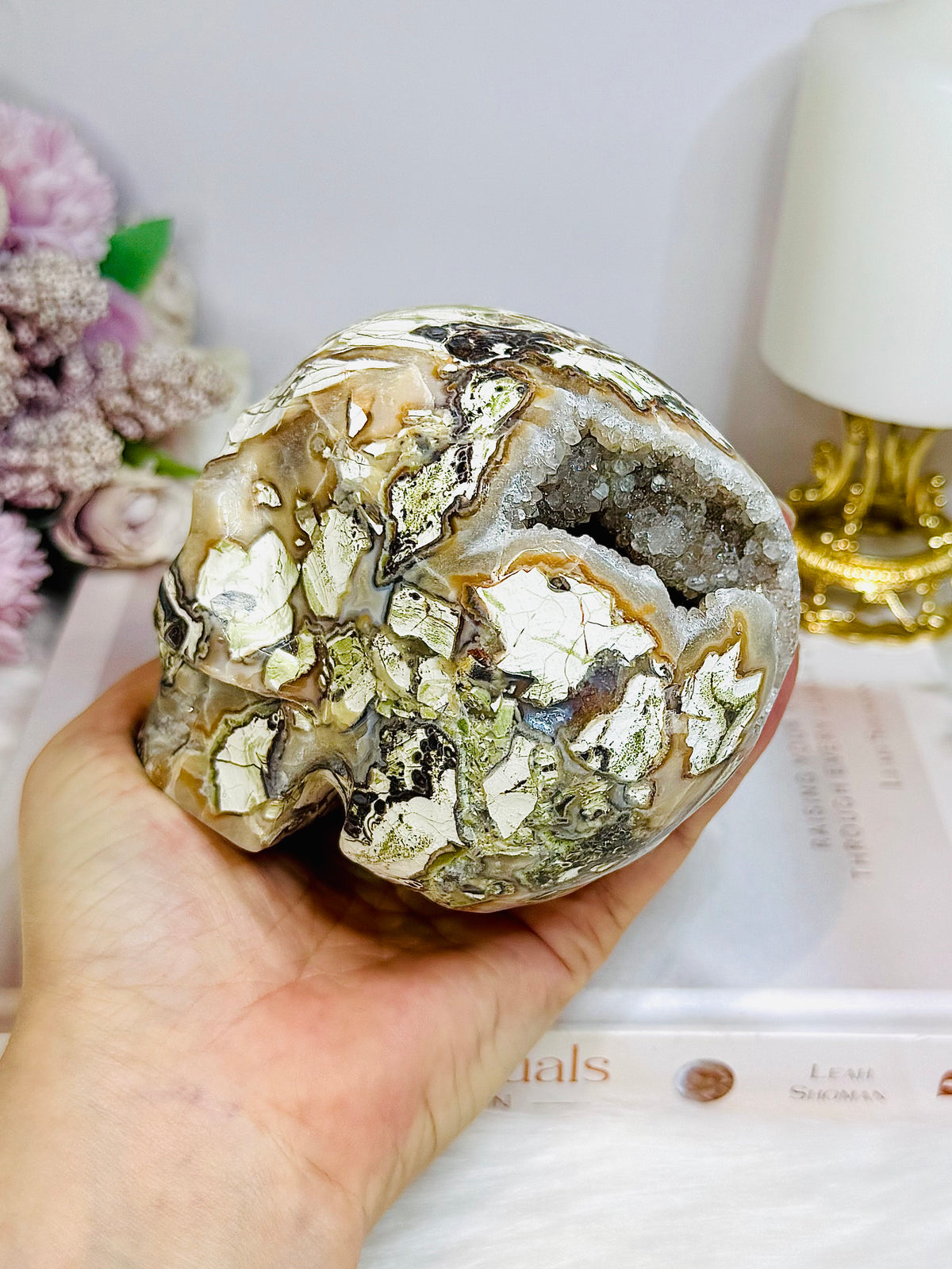 Large Money Agate Druzy Skull 751g