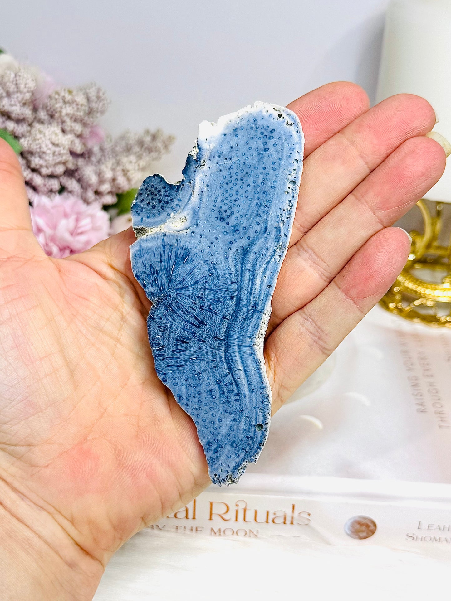 Natural Blue Coral Fossil Specimen Slab 11cm