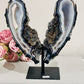 High Grade Uniquely Fabulous Large 24.5cm 1.6KG Sparkling Druzy Blue Agate Chunky Wings On Stand From Brazil