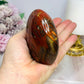 Petrified Wood Chunky Freeform 8cm 352g