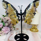 Large Volcano Agate Butterfly Wings UV Reactive on Stand 22cm