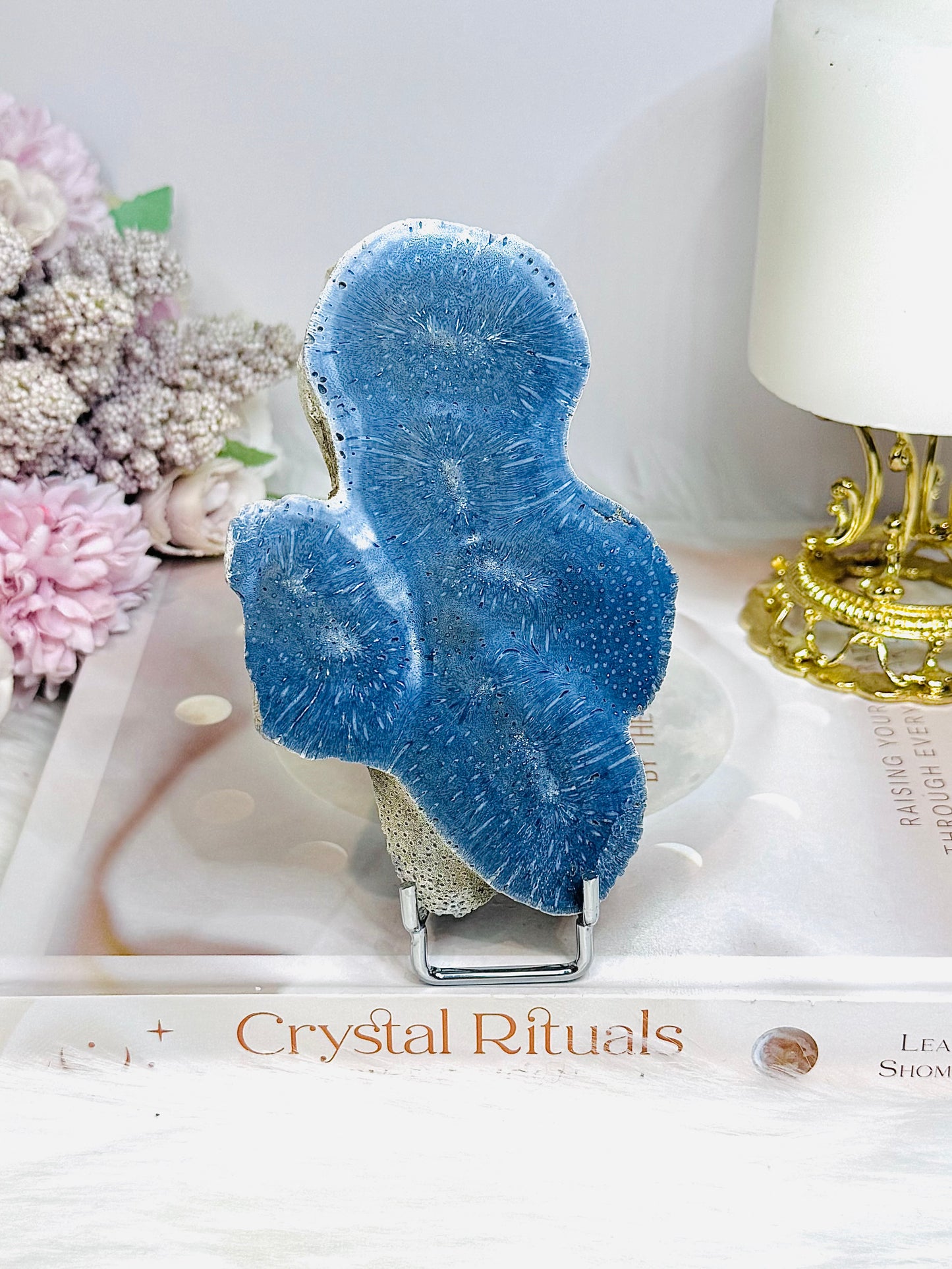 Blue Coral Fossil Specimen Slab on Stand 11.5cm