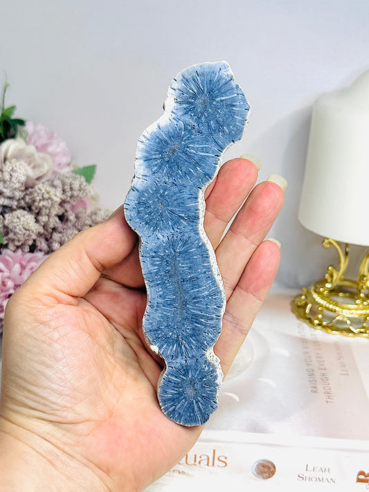 Natural Blue Coral Fossil Specimen Slab 15cm