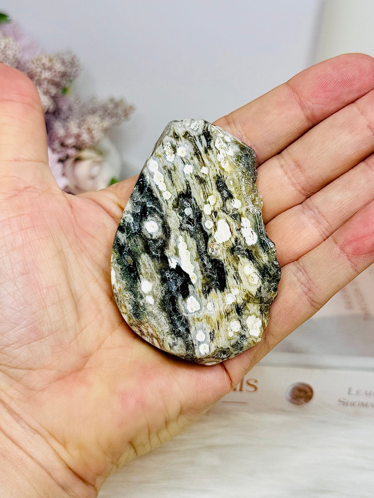 Ocean Jasper Orbicular Druzy Slab 8cm