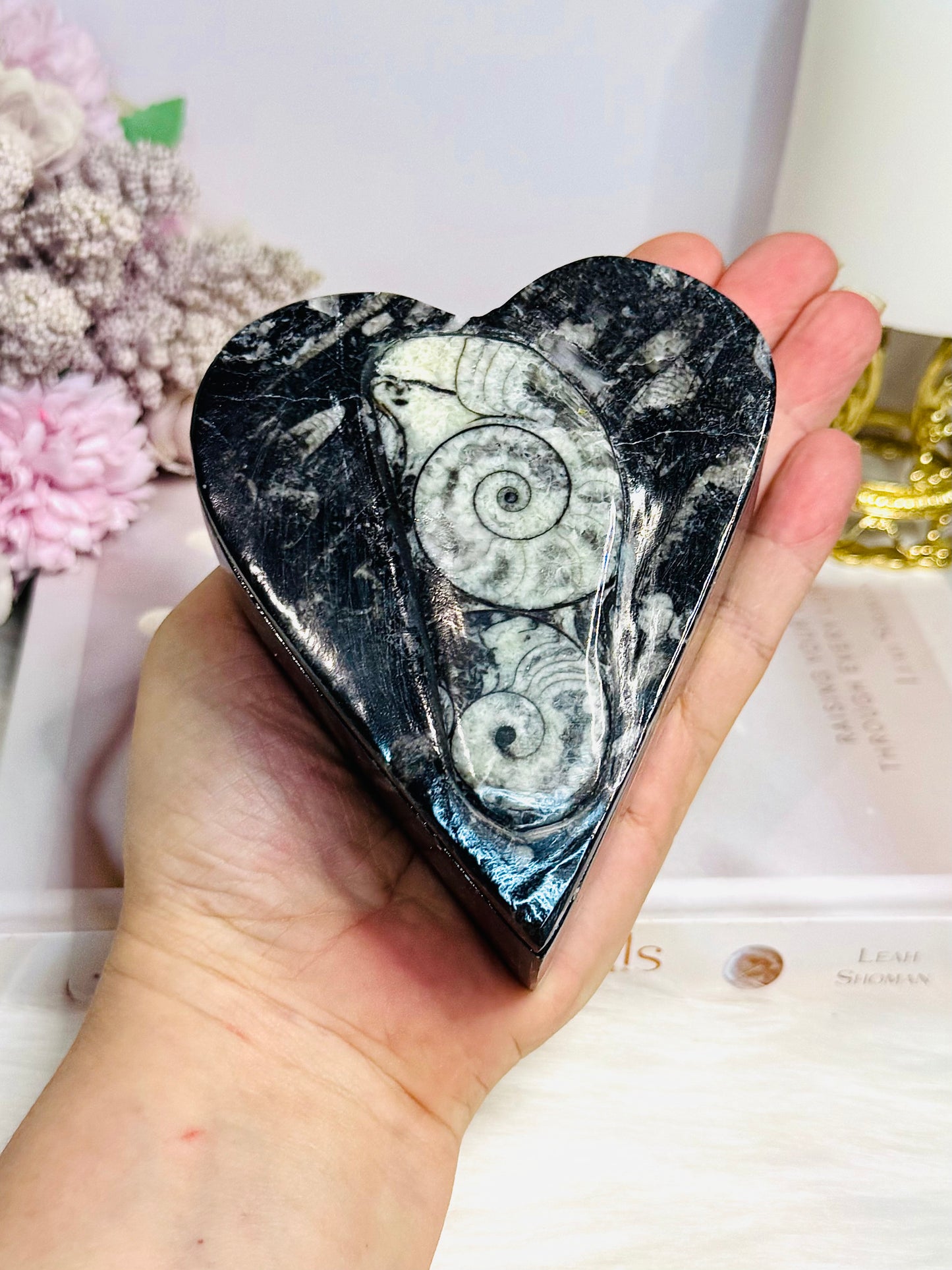 Ancient Fossil Orthoceras Heart Ammonite Jewellery Box 10cm 401g