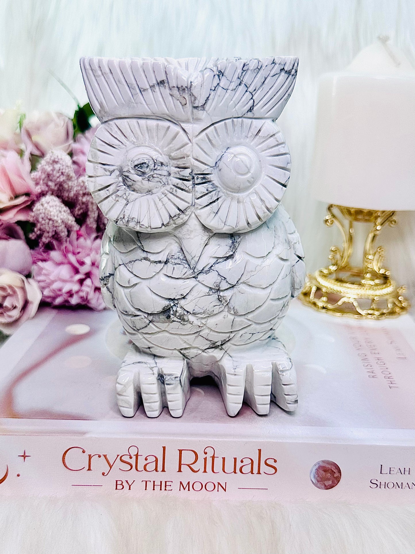 ⚜️ SALE ⚜️ Supports Anxiety ~ Omg!!! Wow!!! Absolutely Huge 1.6KG Stunning Perfectly Hand Carved Howlite Owl With Incredible Healing Energy