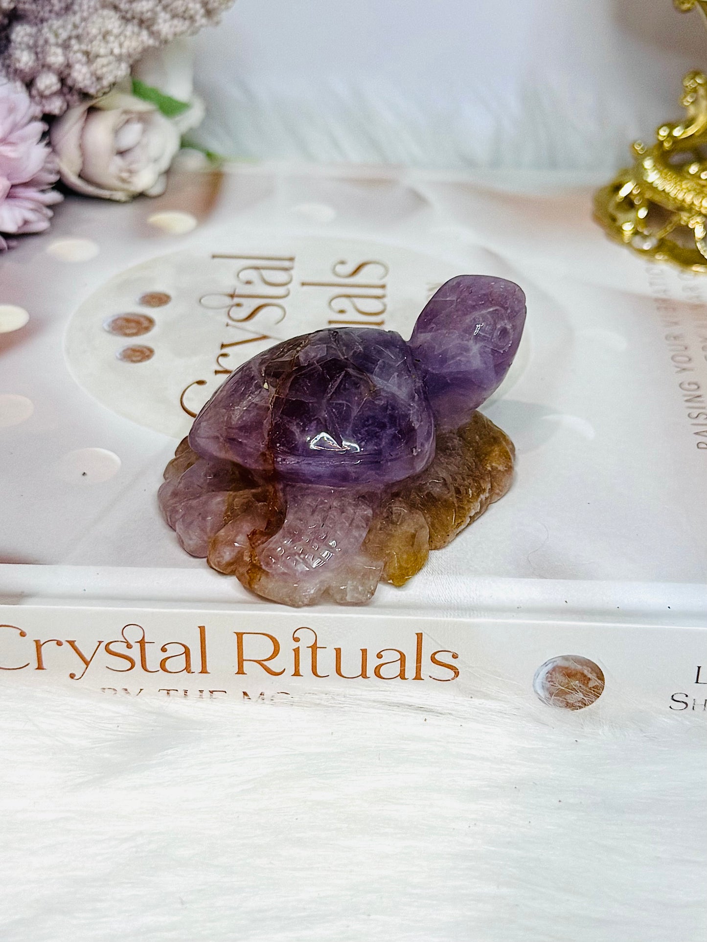Amethyst X Agate Carved Turtle 7cm