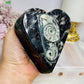 Ancient Fossil Orthoceras Heart Ammonite Jewellery Box 10cm 401g