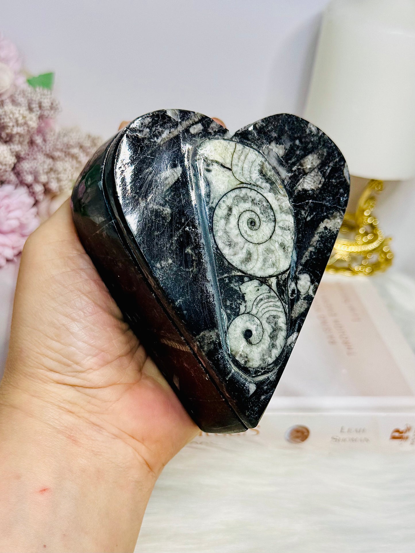 Ancient Fossil Orthoceras Heart Ammonite Jewellery Box 10cm 401g